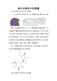 备课素材知识点：高中生物学中的蔗糖  高中生物人教版必修1