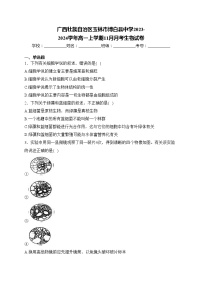 广西壮族自治区玉林市博白县中学2023-2024学年高一上学期11月月考生物试卷(含答案)