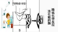 生物必修1《分子与细胞》二 酶的特性教学ppt课件