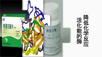 生物必修1《分子与细胞》一 酶的作用和本质教学ppt课件