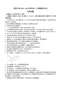 湖北省荆州中学2023-2024学年高一上学期期末考试生物试卷（Word版附答案）