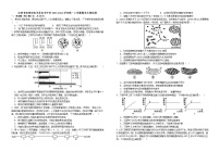 江西省宜春市宜丰县宜丰中学2023-2024学年高一上学期1月期末生物试题