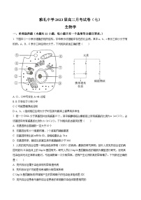 湖南省长沙市雅礼中学2022-2023学年高三下学期月考试卷(七)生物