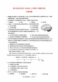 浙江省金华2023_2024高三生物上学期11月模拟考试试题