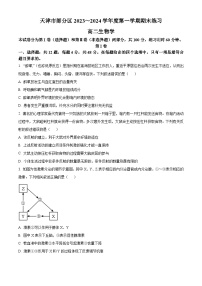 天津市部分区2023-2024学年高二上学期期末考试生物试卷（Word版附解析）