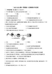 福建省莆田市2023-2024学年高一上学期期末生物试题（Word版附解析）