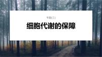 第一篇　主题一　专题(三)　命题点1　物质出入细胞的方式 2024年高考生物二轮复习课件+讲义