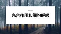 第一篇　主题一　专题(四)　命题点1　光合作用和细胞呼吸的原理 2024年高考生物二轮复习课件+讲义