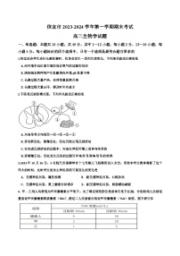 广东省信宜市2023-2024学年高二上学期期末考试生物试题