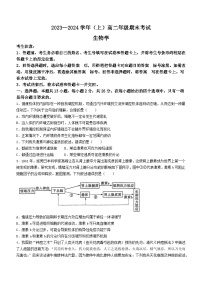 河南省濮阳市2023-2024学年高二上学期期末生物试题