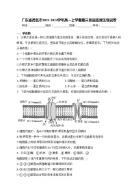 广东省茂名市2023-2024学年高一上学期期末质量监测生物试卷(含答案)