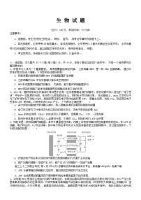 03，2024届重庆市拔尖强基联盟（重庆育才中学、西南大学附属中学、重庆万州中学）高三下学期2月联合考试生物试题