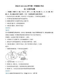 27，广东省茂名市信宜市2023-2024学年高二上学期期末生物试题