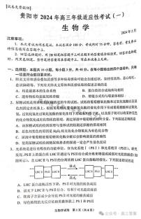 2024贵阳高三适应性一生物试卷及参考答案