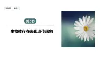 生物必修2《遗传与进化》第五节 生物体存在表观遗传现象教课内容课件ppt