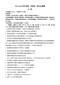 广东省阳江市高新区2023-2024学年高一上学期1月期末考试生物试卷（Word版附解析）