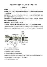 湖北省高中名校联盟2023-2024学年高三上学期第三次联合测评生物试题（Word版附解析）