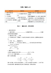 高考生物一轮复习串讲精练（新高考专用）专题07 酶和ATP（串讲）（原卷版+解析）