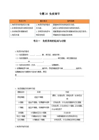 高考生物一轮复习串讲精练（新高考专用）专题26 免疫调节（串讲）（原卷版+解析）
