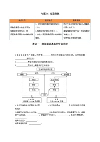 高考生物一轮复习串讲精练（新高考专用）专题01 走近细胞（串讲）（原卷版+解析）