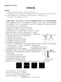 【新高考卷】名校教研联盟2024届高三下学期开学考试 生物试题及答案（含答题卡）