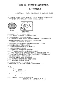 吉林省四校2023-2024学年高一下学期开学联考生物试卷（Word版附答案）