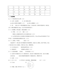 2024届重庆市拔尖强基联盟高三下学期2月联合考试生物答案