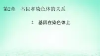 高中生物人教版 (2019)必修2《遗传与进化》第2节 基因在染色体上课文配套ppt课件