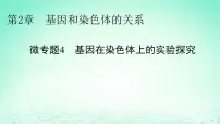 高中生物人教版 (2019)必修2《遗传与进化》第2节 基因在染色体上评课课件ppt
