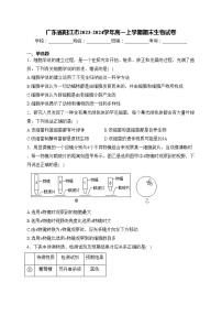 广东省阳江市2023-2024学年高一上学期期末生物试卷(含答案)