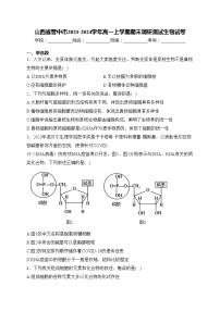 山西省晋中市2023-2024学年高一上学期期末调研测试生物试卷(含答案)