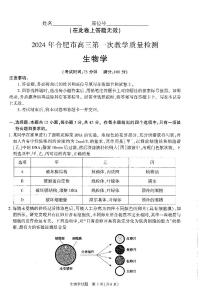 2024届安徽省合肥市高三一模生物试题