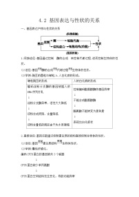 高中生物人教版 (2019)必修2《遗传与进化》第4章 基因的表达第2节 基因表达与性状的关系同步测试题