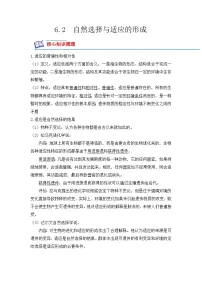 人教版 (2019)必修2《遗传与进化》第2节 自然选择与适应的形成精练
