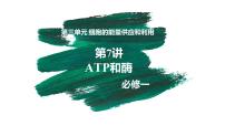 备战高考生物一轮复习优质课件 第07讲 ATP和酶