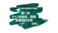 备战高考生物一轮复习优质课件 第17讲 DNA的结构、复制及基因的本质