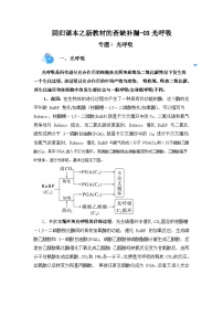 高考生物第一轮复习知识点挖空专项练习 回归课本之新教材的查缺补漏-03光呼吸（原卷版+答案解析）