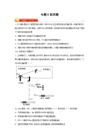 高考生物第一轮复习知识点挖空专项练习 专题5原因题（原卷版+答案解析）