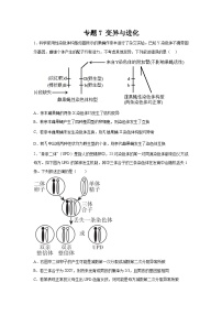 高考生物第一轮复习知识点挖空专项练习 专题7变异与进化（原卷版+答案解析）