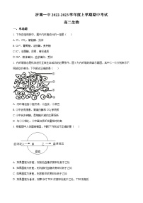 精品解析：山东省临沂市沂南一中2022-2023学年高二上学期期中生物试题（原卷版+答案解析）