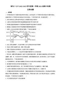 精品解析：山东省青岛市十七中2022-2023学年高二上学期期中生物试题（原卷版+答案解析）