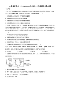 精品解析：山东省青岛市一中2022-2023学年高二上学期期中生物试题（原卷版+答案解析）