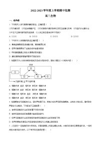 精品解析：山东省潍坊市山东海事职业学院2022-2023学年高二上学期期中生物试题（原卷版+答案解析）