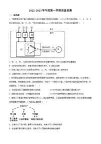 精品解析：山东省枣庄市滕州市2022-2023学年高二上学期期中生物试题（原卷版+答案解析）