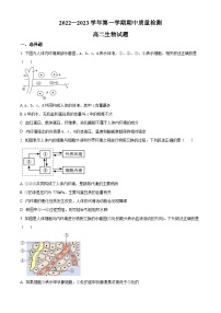 精品解析：山东省济宁市微山县二中2022-2023学年高二上学期期中生物试题（原卷版+答案解析）