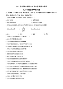 精品解析：浙江省9+1 高中联盟2022-2023学年高二上学期期中生物试题（原卷版+答案解析）