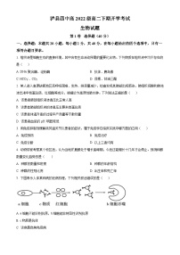 四川省泸州市泸县四中2023-2024学年高二下学期开学考试生物试题（Word版附解析）