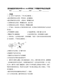 四川省宜宾市部分中学2022-2023学年高二下学期开学考试生物试卷(含答案)
