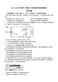 江苏省高邮市2023-2024学年高三下学期开学考试生物试卷（Word版附答案）