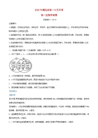 湖北省孝感七县市一中新高考联考协作体2023_2024学年高一生物上学期9月月考试题含解析